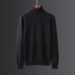 Men's Winter Warm Thick Turtleneck Sweater